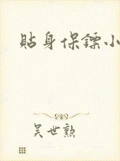 贴身保镖小说