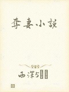 夺妻小说