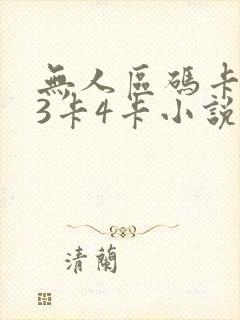 无人区码卡二卡3卡4卡小说