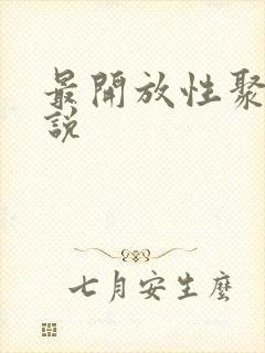 最开放性聚会小说封面