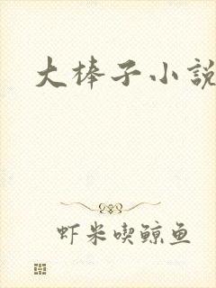 大棒子小说封面
