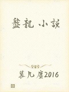盘龙 小说