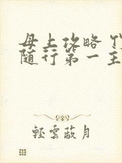 母上攻略 竹影随行第一主板