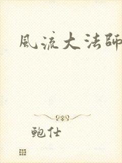 风流大法师封面