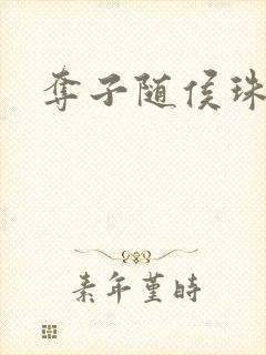 夺子随侯珠