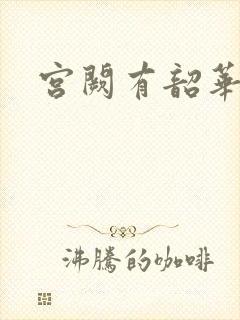 宫阙有韶华