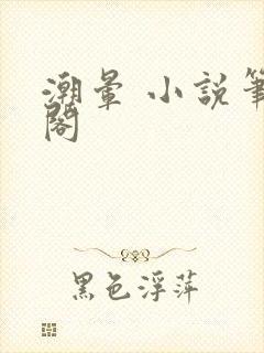 潮晕 小说笔趣阁封面