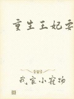 重生王妃要和离