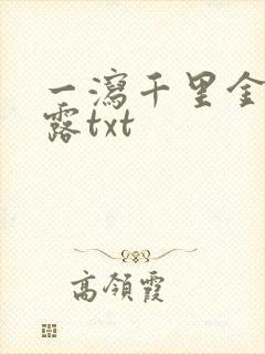 一泻千里金银花露txt封面