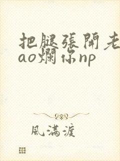 把腿张开老子cao烂你np封面