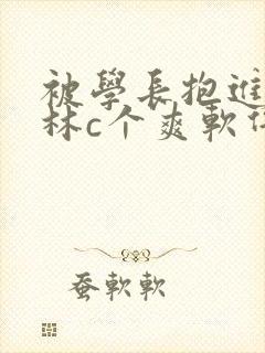 被学长抱进小树林c个爽软件