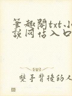 笔趣阁txt小说网站入口
