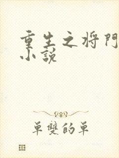重生之将门毒后小说封面