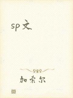 sp文封面