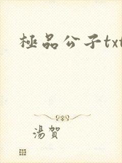 极品公子txt