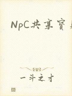 NpC共享宝贝