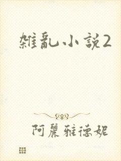 杂乱小说2