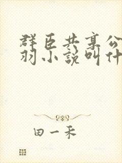 群臣共享公主银羽小说叫什么