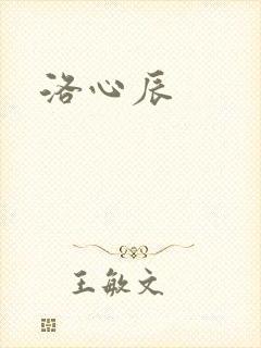 洛心辰