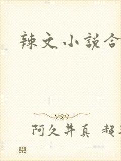 辣文小说合集