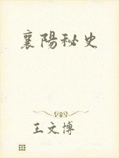 襄阳秘史封面