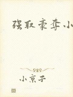 强取豪夺小说