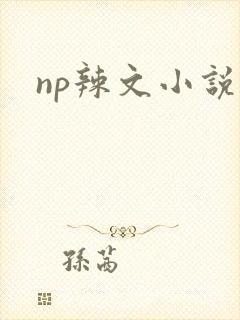 np辣文小说