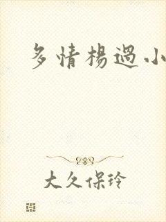 多情杨过小说封面