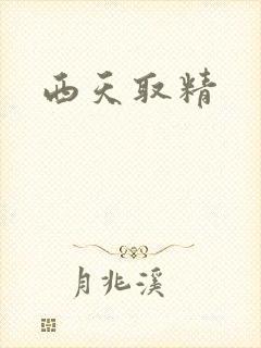 西天取精