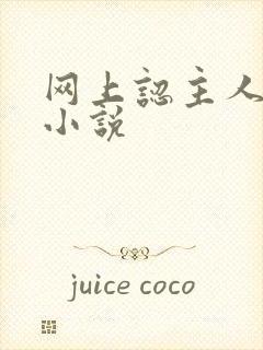 网上认主人调教小说