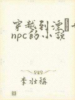 穿越到湮婸世界npc的小说