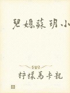 儿媳苏玥小说封面