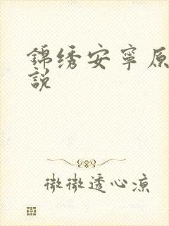 锦绣安宁原著小说封面