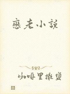 恋老小说
