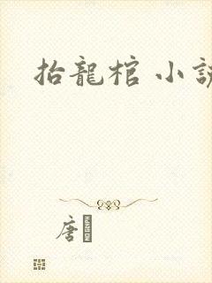 抬龙棺 小说封面