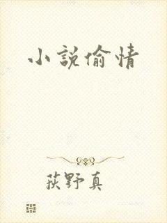 小说偷情
