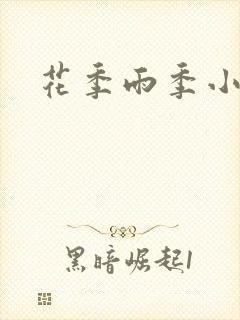 花季雨季小说