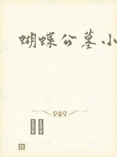 蝴蝶公墓小说