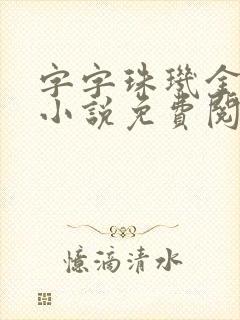 字字珠玑金银花小说免费阅读
