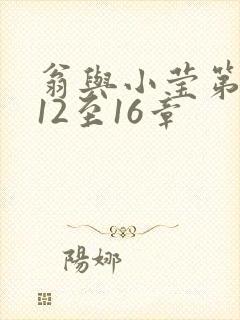 翁与小莹第十部12至16章