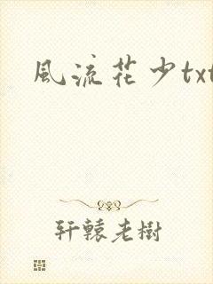 风流花少txt