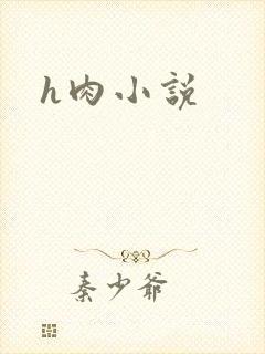 h肉小说
