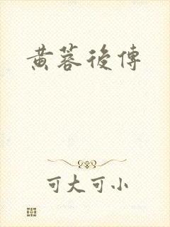 黄蓉后传封面