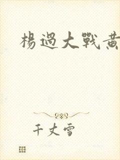 杨过大战黄蓉