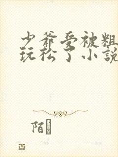 少爷受被粗汉H玩松了小说