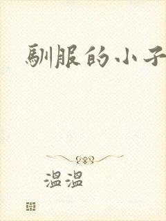 驯服的小子4
