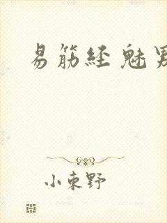 易筋经 魅男封面