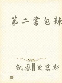 第二书包辣文