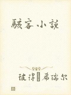 骇客小说