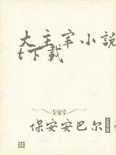大主宰小说txt下载